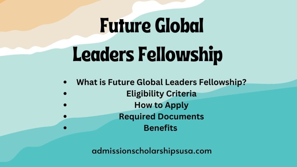 Future Global Leaders Fellowship 2024 USA